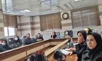 جلسه آموزشی کارگروه بحران در پرستاری  جهت کارکنان درمانی دانشگاه برگزار شد
