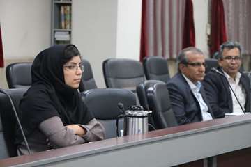 کارگروه مدیریت توسعه