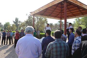 پیاده روی کارکنان
