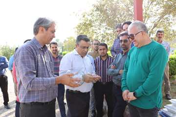 پیاده روی کارکنان
